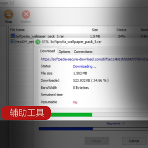 多线程下载器《Neat Download Manager》汉化单文件版推荐
