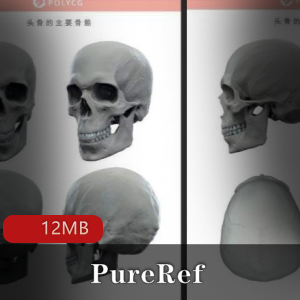 （PureRef）中文版PC
