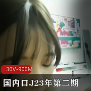 91制片厂今年新晋的天生丽质闭月羞花的网红小姐姐的接拍【30V-900M】