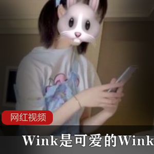 Twitter知名萌妹（Wink是可爱的Wink）扎旗双马尾化身可爱学妹【776MB】